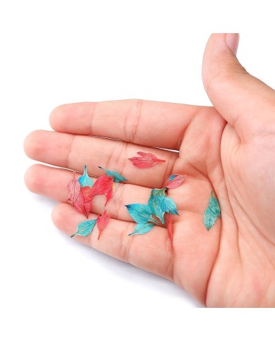 KURUTULMUŞ NİGELLA DAMASCENA YAPRAKLARI KURUTULMUŞ NİGELLA DAMASCENA YAPRAKLARI