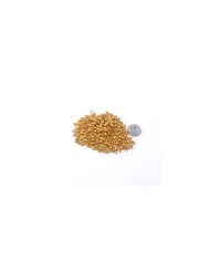 İnci Görünümlü Kaplama Taş - Gold - 25gr