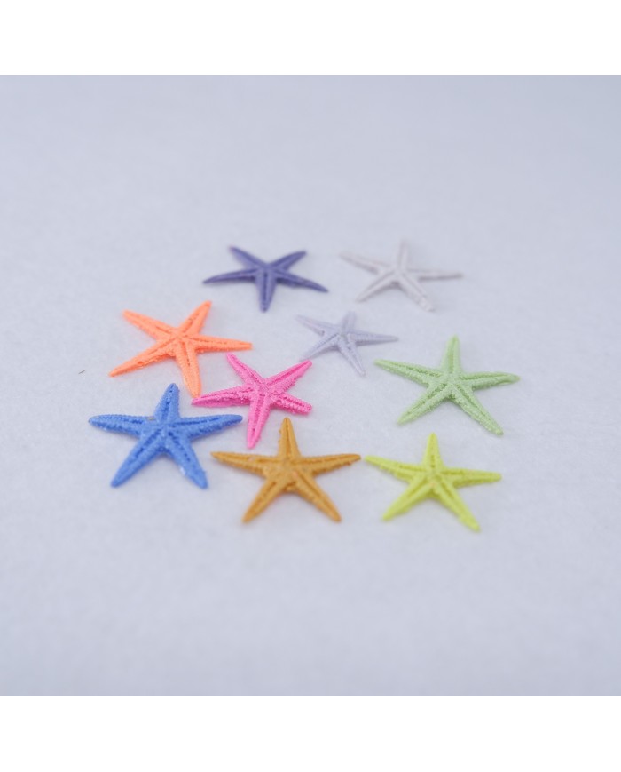 Renkli Deniz Yıldızı